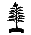 CHOKKAN
