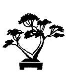 SABAMIKI