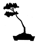 BUJINGI