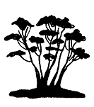 TSUKAMI-YOSE