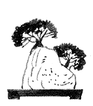 ISHITSUKI
