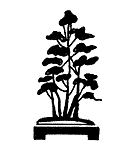 KARABUKI