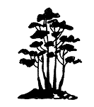 IKADABUKI