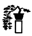 KENGAI