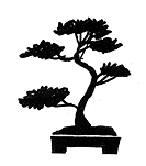 MOYOGI